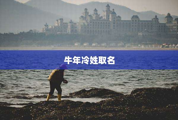 牛年冷姓取名