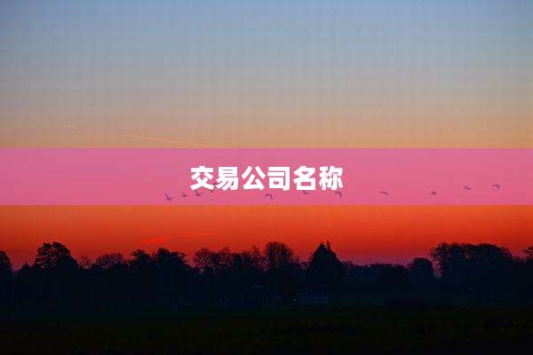 交易公司名称