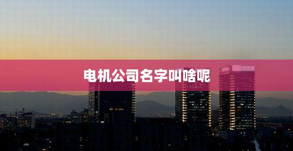 电机公司名字叫啥呢
