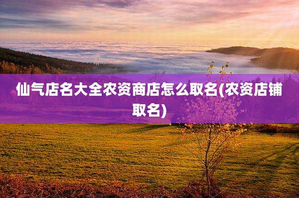 仙气店名大全农资商店怎么取名(农资店铺取名)