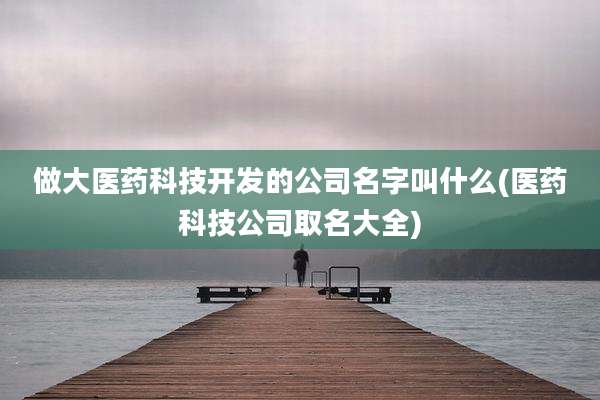 做大医药科技开发的公司名字叫什么(医药科技公司取名大全)