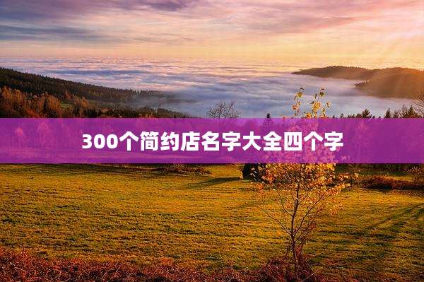300个简约店名字大全四个字