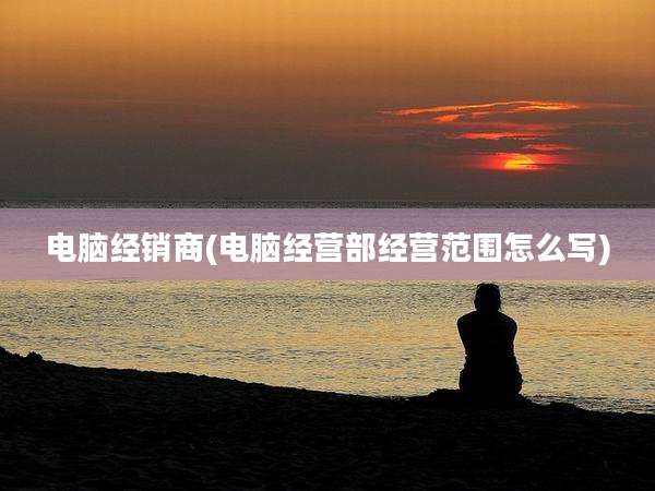 电脑经销商(电脑经营部经营范围怎么写)