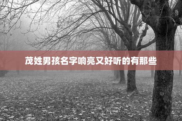 茂姓男孩名字响亮又好听的有那些