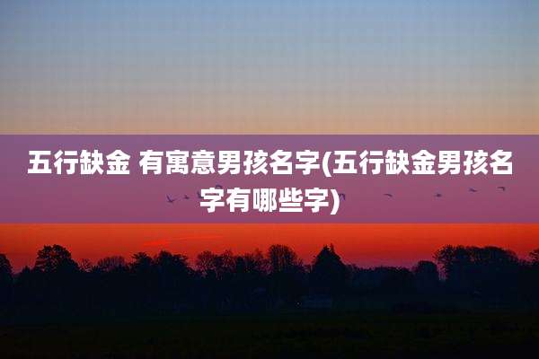 五行缺金 有寓意男孩名字(五行缺金男孩名字有哪些字)