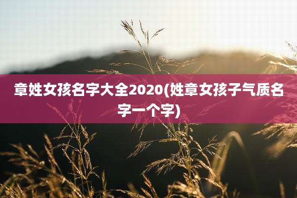 章姓女孩名字大全2020(姓章女孩子气质名字一个字)