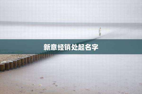 新意经销处起名字