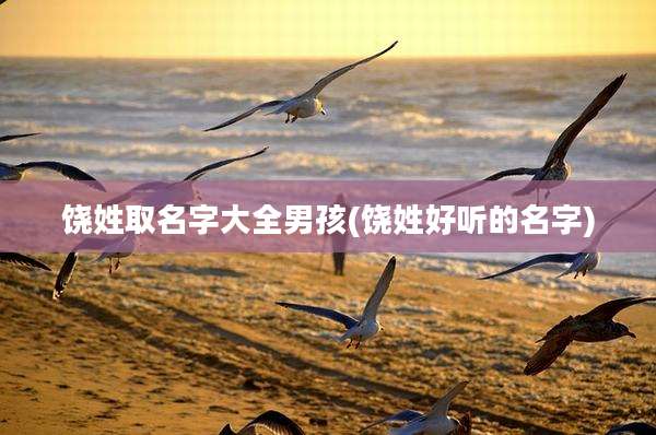 饶姓取名字大全男孩(饶姓好听的名字)