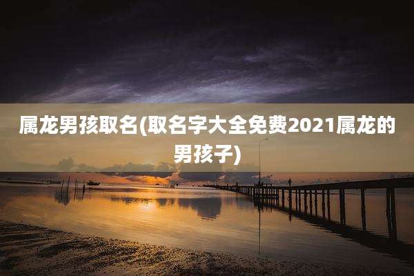 属龙男孩取名(取名字大全免费2021属龙的男孩子)