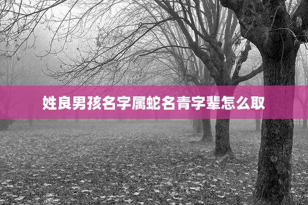 姓良男孩名字属蛇名青字辈怎么取