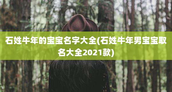石姓牛年的宝宝名字大全(石姓牛年男宝宝取名大全2021款)