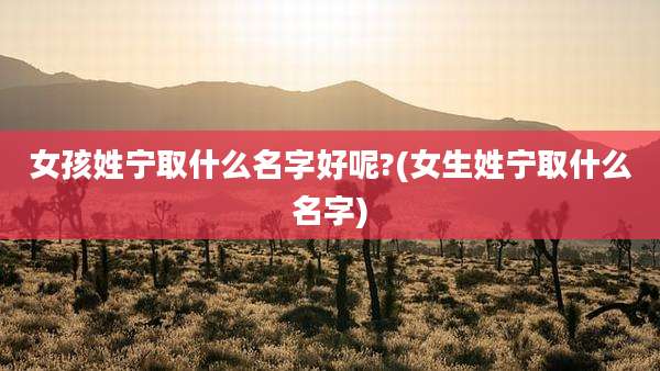 女孩姓宁取什么名字好呢?(女生姓宁取什么名字)