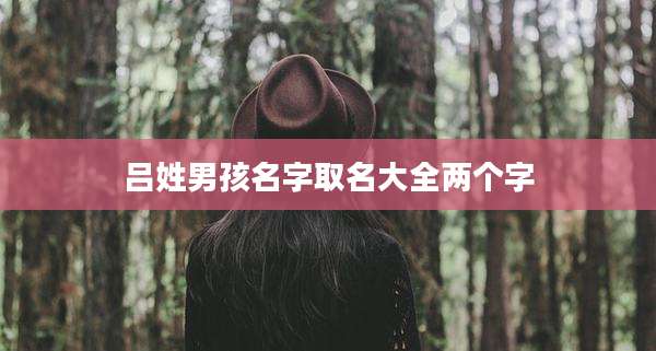 吕姓男孩名字取名大全两个字