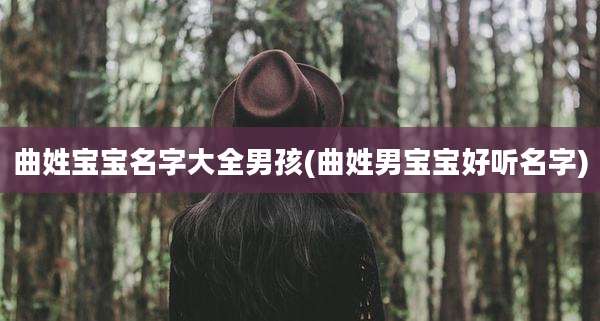 曲姓宝宝名字大全男孩(曲姓男宝宝好听名字)