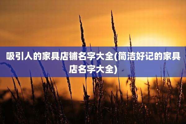吸引人的家具店铺名字大全(简洁好记的家具店名字大全)