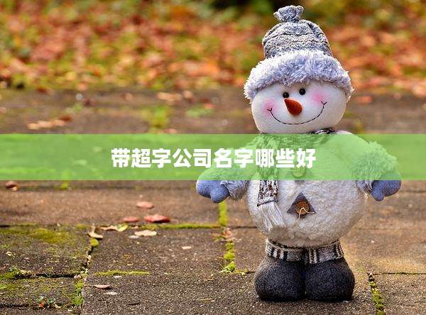 带超字公司名字哪些好