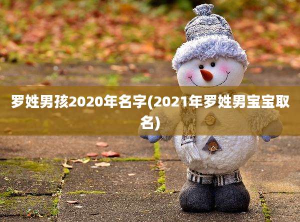 罗姓男孩2020年名字(2021年罗姓男宝宝取名)