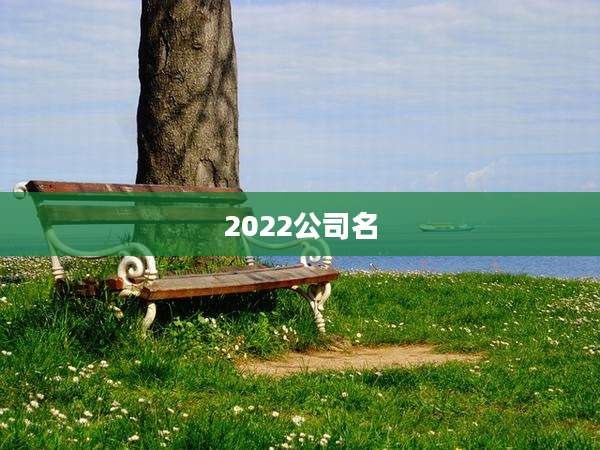 2022公司名