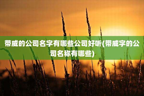 带威的公司名字有哪些公司好听(带威字的公司名称有哪些)