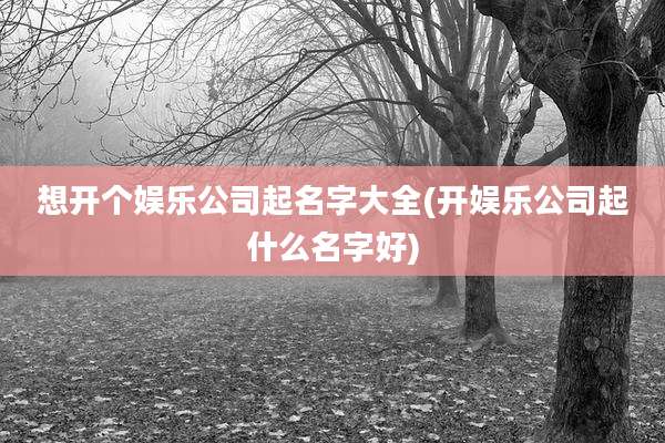 想开个娱乐公司起名字大全(开娱乐公司起什么名字好)