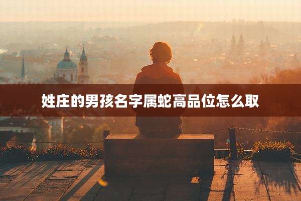 姓庄的男孩名字属蛇高品位怎么取