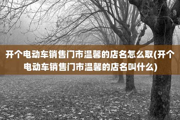 开个电动车销售门市温馨的店名怎么取(开个电动车销售门市温馨的店名叫什么)