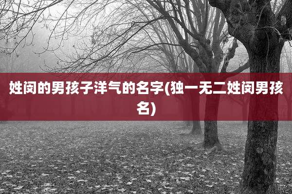 姓闵的男孩子洋气的名字(独一无二姓闵男孩名)