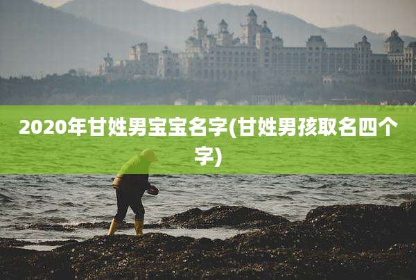 2020年甘姓男宝宝名字(甘姓男孩取名四个字)