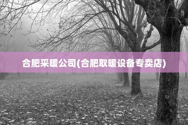 合肥采暖公司(合肥取暖设备专卖店)