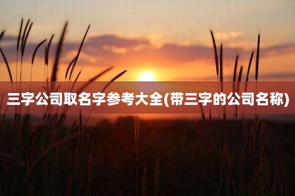 三字公司取名字参考大全(带三字的公司名称)