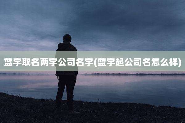 蓝字取名两字公司名字(蓝字起公司名怎么样)