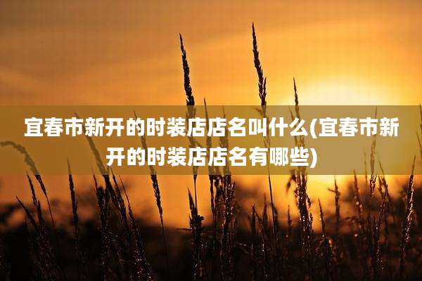 宜春市新开的时装店店名叫什么(宜春市新开的时装店店名有哪些)