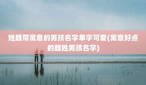 姓魏带寓意的男孩名字单字可爱(寓意好点的魏姓男孩名字)