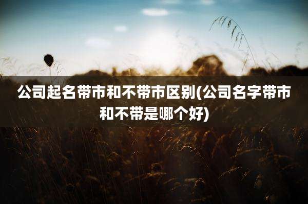 公司起名带市和不带市区别(公司名字带市和不带是哪个好)