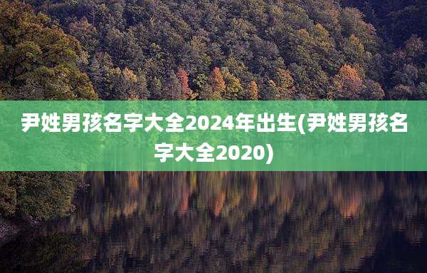 尹姓男孩名字大全2024年出生(尹姓男孩名字大全2020)