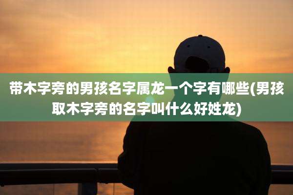 带木字旁的男孩名字属龙一个字有哪些(男孩取木字旁的名字叫什么好姓龙)