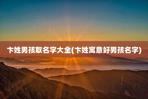 卞姓男孩取名字大全(卞姓寓意好男孩名字)