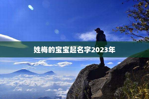 姓梅的宝宝起名字2023年