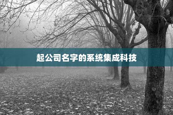 起公司名字的系统集成科技