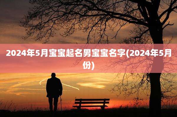 2024年5月宝宝起名男宝宝名字(2024年5月份)