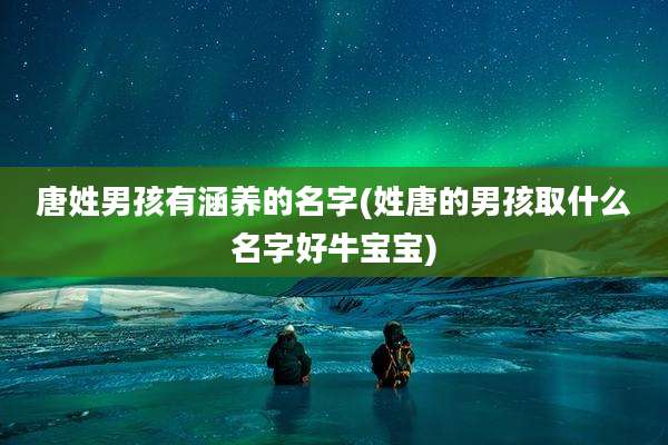 唐姓男孩有涵养的名字(姓唐的男孩取什么名字好牛宝宝)