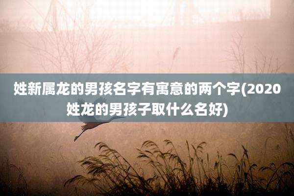 姓新属龙的男孩名字有寓意的两个字(2020姓龙的男孩子取什么名好)