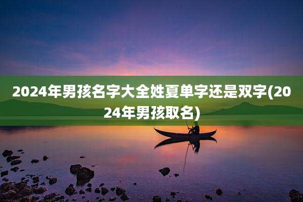 2024年男孩名字大全姓夏单字还是双字(2024年男孩取名)