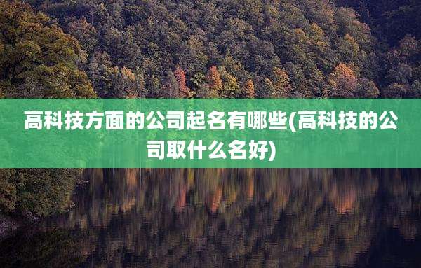 高科技方面的公司起名有哪些(高科技的公司取什么名好)