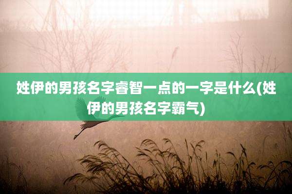 姓伊的男孩名字睿智一点的一字是什么(姓伊的男孩名字霸气)