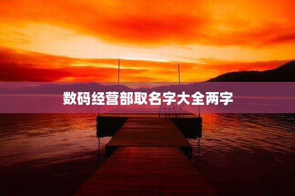 数码经营部取名字大全两字