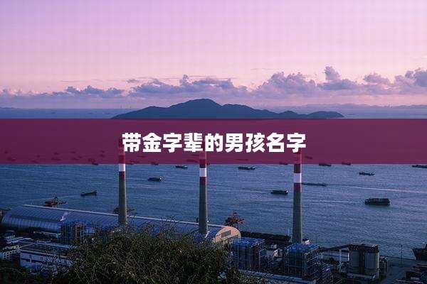 带金字辈的男孩名字