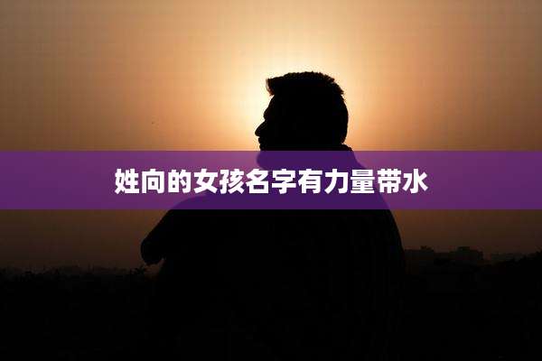 姓向的女孩名字有力量带水