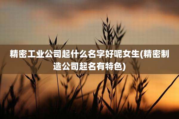 精密工业公司起什么名字好呢女生(精密制造公司起名有特色)
