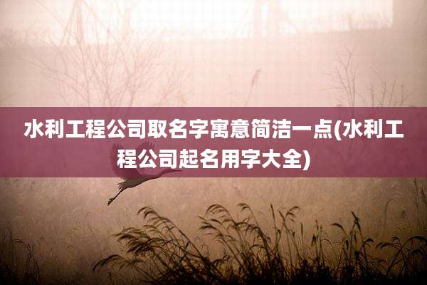 水利工程公司取名字寓意简洁一点(水利工程公司起名用字大全)